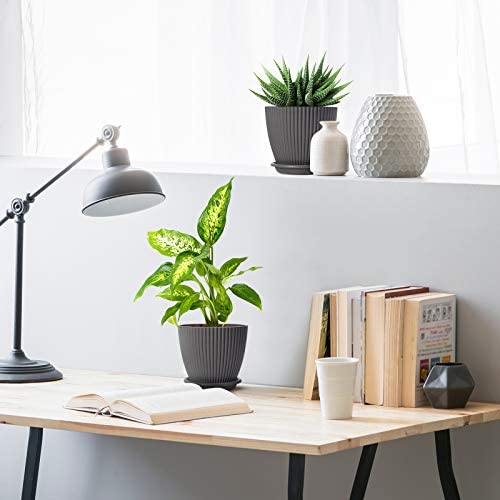 Rabbonix Plastic Round Flower Pots for Home Planters, Terrace, Garden Etc | Pack of 05 | Dark Grey | Suitable for Home Indoor & Outdoor Gardening Plants - Image 5