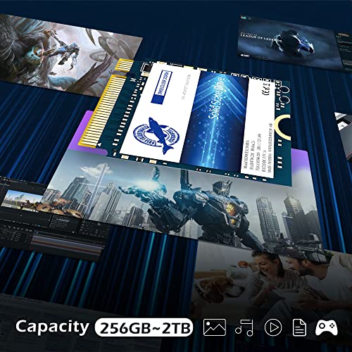THREE COLOUR DOGFISH Dogfish SSD M.2 2230 NVMe PCIe 4.0 512GB 3D TLC NAND Gaming Unit?a stato solido interna per Steam Deck PS5 Surface Pro Laptop Desktop (M.2 2230 NVMe 4.0, 512 GB) - Image 5