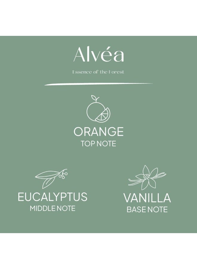 Amara Alvea (300G) Harmony Pine & Eucalyptus Pillar Candle - Image 4