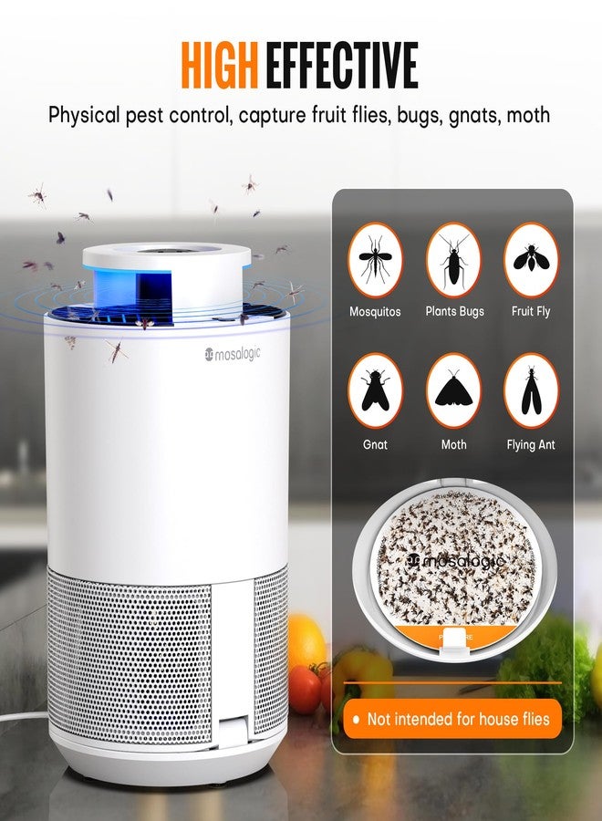 Mosalogic Fruit Fly Trap for Indoors Upgraded Indoor Gnat Traps for House Use with UV Bug Light,Gnat Killer Flying Insect Trap for Fruit Flies, Gnats,Plants Moths with 5 PCS Refill (White) - Image 2
