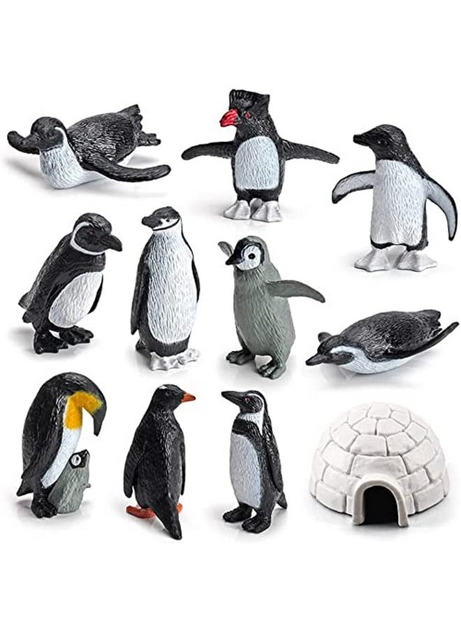 Ai-Fun - 11Pcs Penguin Igloo Figurine Toys Realistic Ocean Tiny Animal Model Polar Animal Figures Set - Image 1