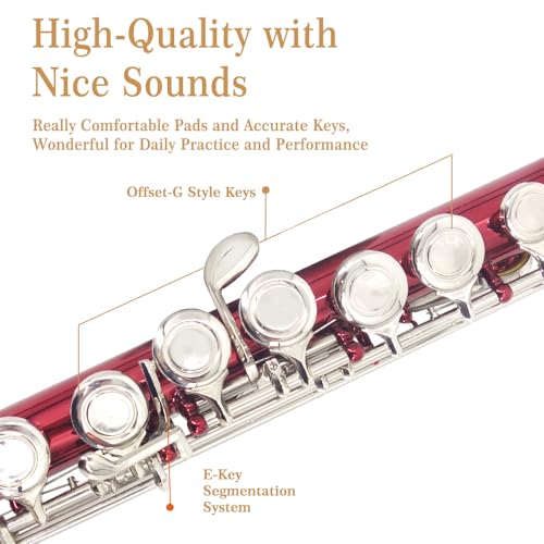 YANASON Red C Flute Closed Hole 16 Keys Flute Nickel-Plated for Beginner, Student and Professionals with Carrying case, Metal stand, Gloves, Tuning Rod, Cleaning kit(Red) - Image 3