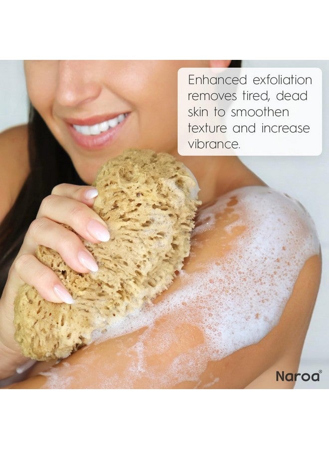 Naroa Exfoliating Natural Sponge For Bathing Bath Sea Sponge For Healthy Skin Unbleached Shower Body Scrubber Puff Eco Friendly Plastic Free Sponge (Exfoliate Large) - Image 4