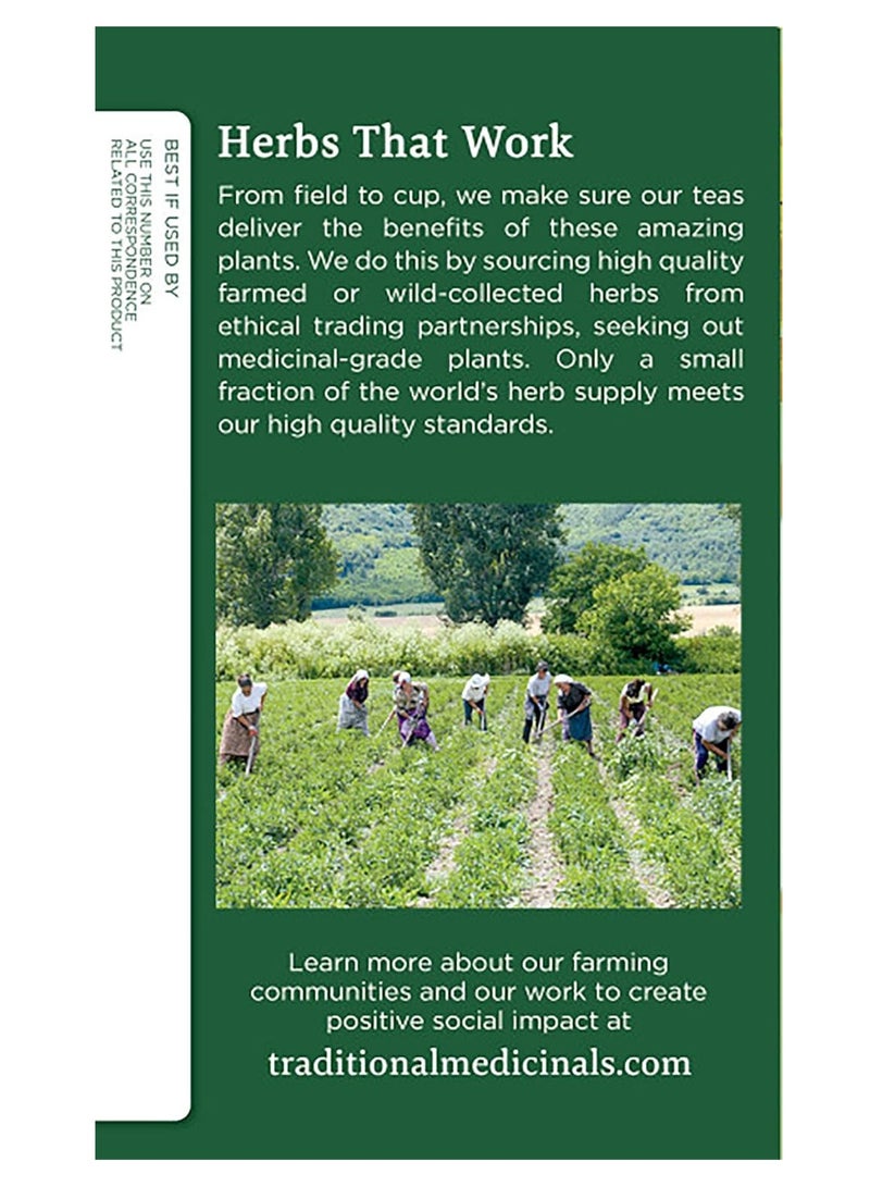 تي ام شاي باو دي أركو الطبي التقليدي، 16 كيس شاي - Image 3