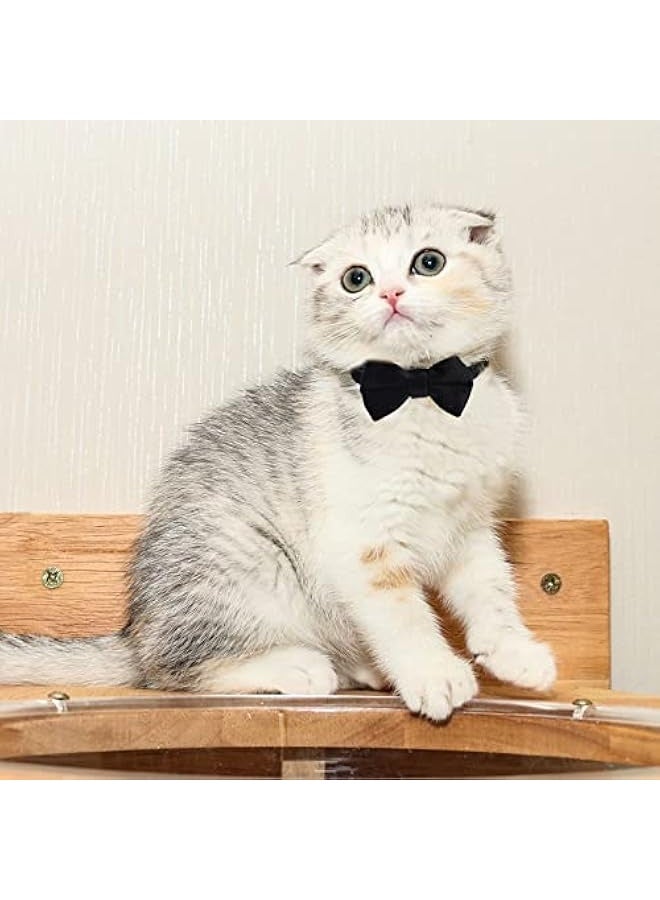 2 Pcs Velvet Cat Collar with Bell and Bowtie, Adjustable Breakaway Cat Collars Kitten Small Puppy Safety Bow Tie Solid Wedding Basic Color Cat Bow Tie Collar - Image 4