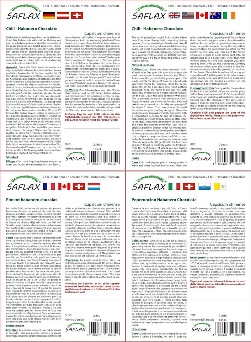 GGOOT Chili - Habanero Chocolate - 10 Seeds - with Soil - Capsicum chinense - Image 3