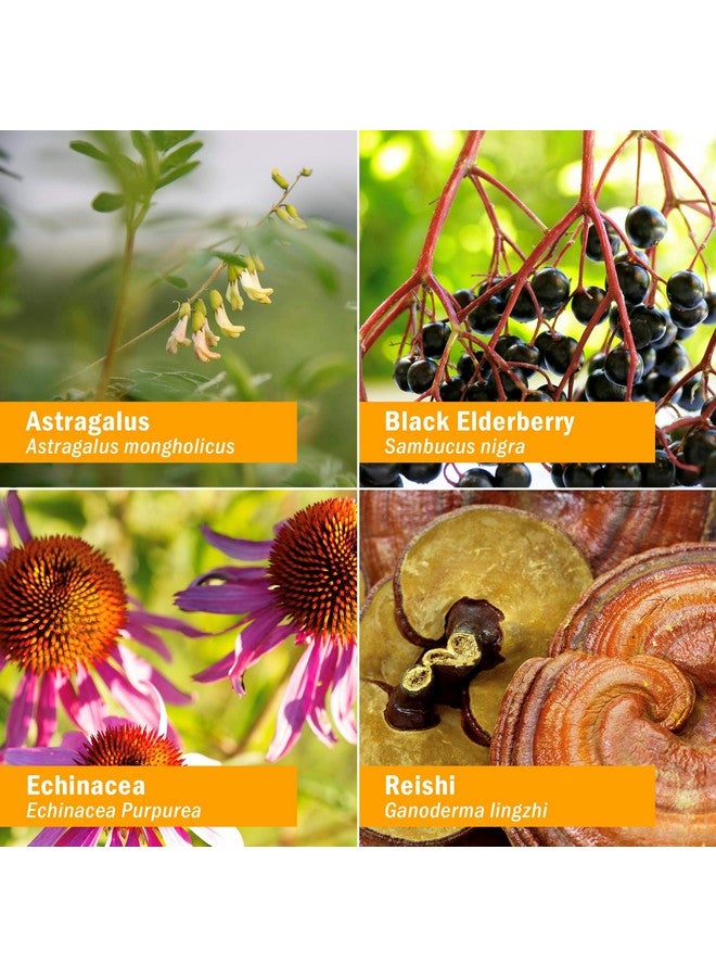 Herb Pharm Kids Certified-Organic Alcohol-Free Immune Fortifier Liquid Herbal Formula, 1 Ounce - Image 3