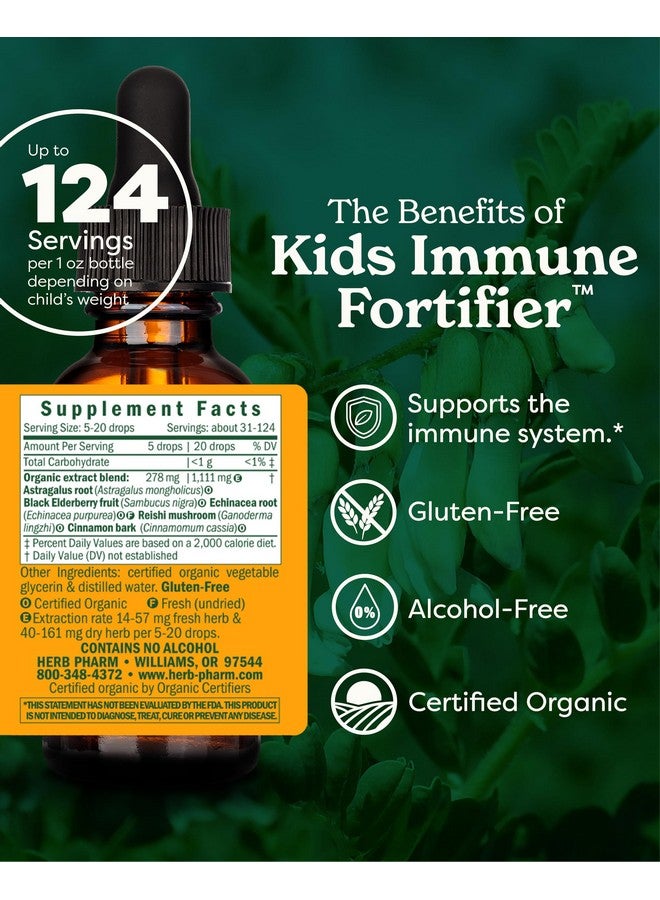 Herb Pharm Kids Certified-Organic Alcohol-Free Immune Fortifier Liquid Herbal Formula, 1 Ounce - Image 2