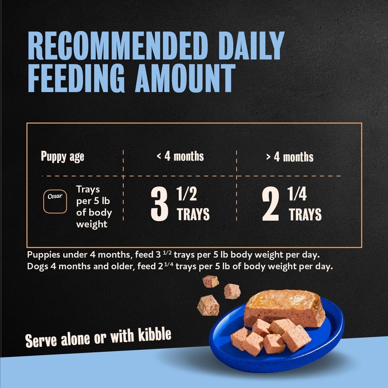 Cesar Puppy Classic Loaf in Sauce Wet Dog Food, Chicken & Beef Recipe, 3.5 oz. Easy Peel Trays, Dog Food Toppers, 24 Count - Image 5