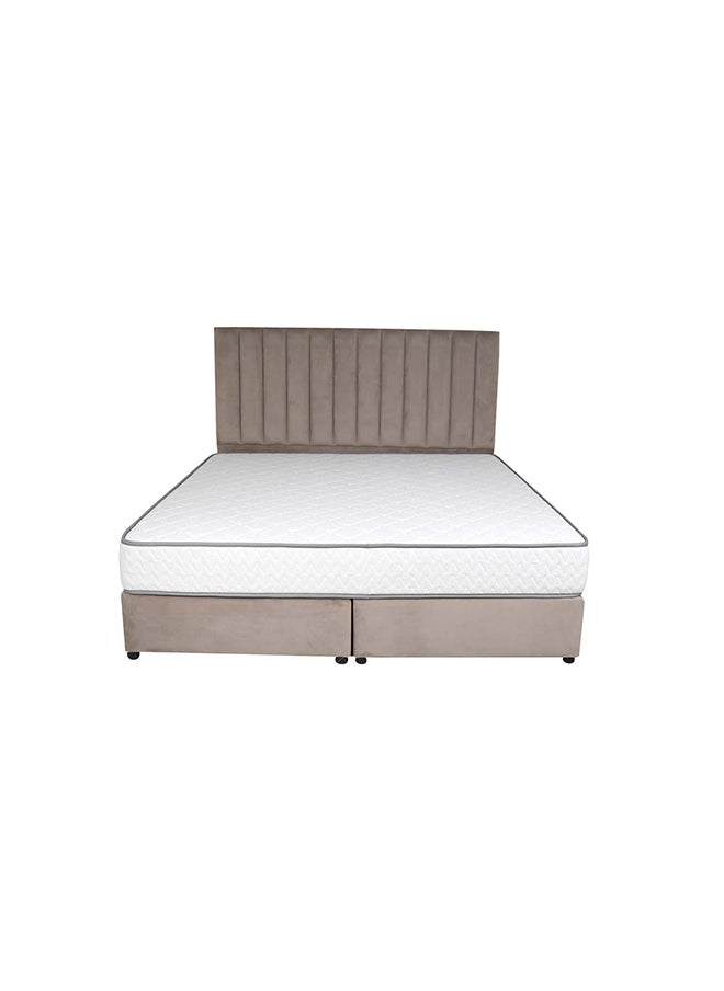 Bed and Mattress Zone Opulence Upholstered Bed 203 X 200 Super King Size Muted Beige Color, Mattress Size-200x200cm (Mattress sold separately)  - Image 3