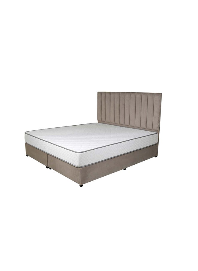 Bed and Mattress Zone Opulence Upholstered Bed 203 X 200 Super King Size Muted Beige Color, Mattress Size-200x200cm (Mattress sold separately)  - Image 2