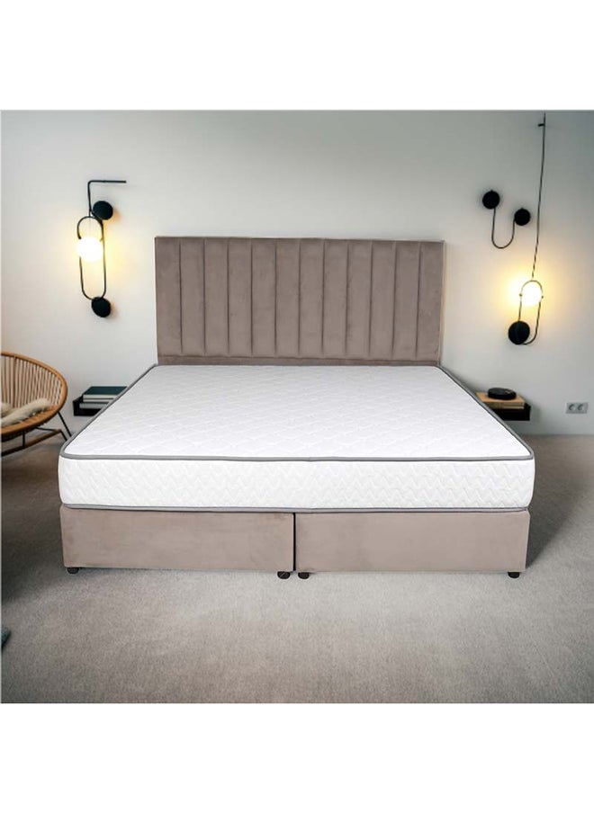 Bed and Mattress Zone Opulence Upholstered Bed 203 X 200 Super King Size Muted Beige Color, Mattress Size-200x200cm (Mattress sold separately)  - Image 5