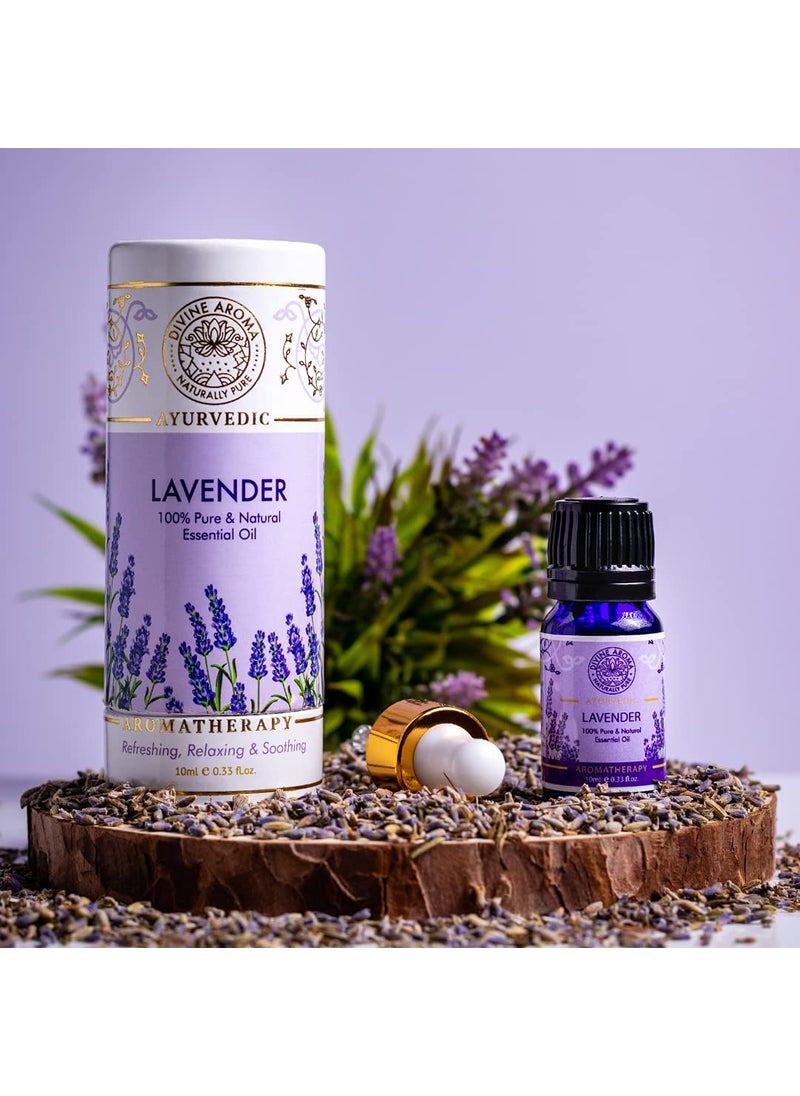 DIVINE AROMA - Divine Aroma Aromatherapy Combo Aroma diffuser funnel type Lavender Essential Oil 10 ml 100 Natural Pure - Image 1