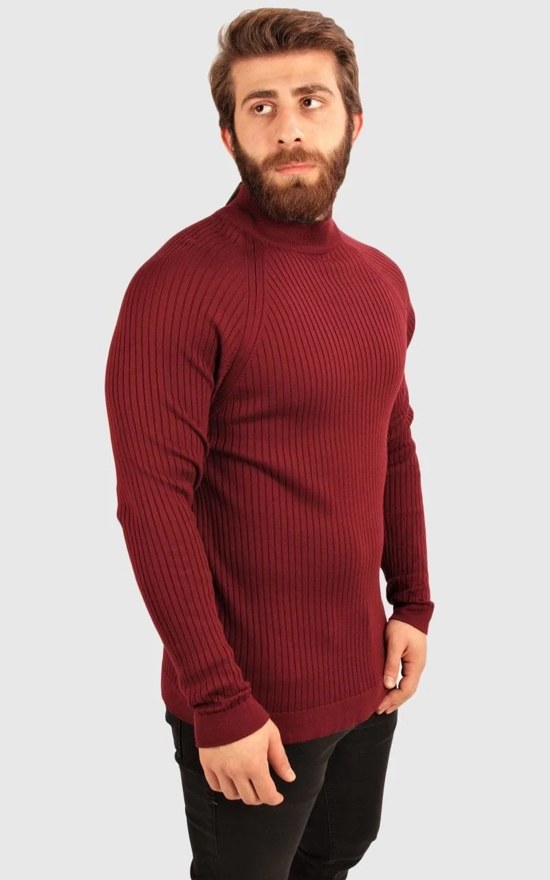 الكسندر جاردي Turtleneck Knitwear Regular Fit Sweater