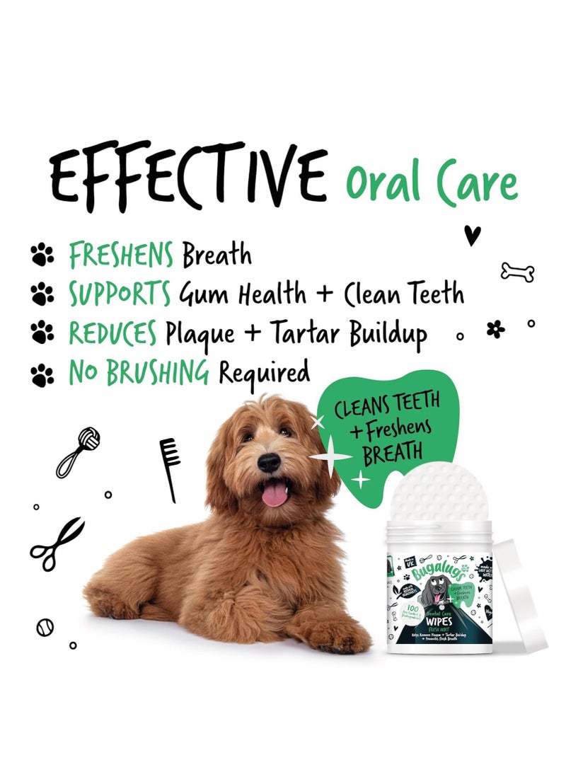 BUGALUGS Dog Breath Freshener Dog Teeth Wipes Dog Plaque Remover Dog Wipes and tartar remover for teeth Dog Teeth Cleaning Product No Dog Toothbrush And Toothpaste Brushing Needed Dog 100 Wipes - Image 4
