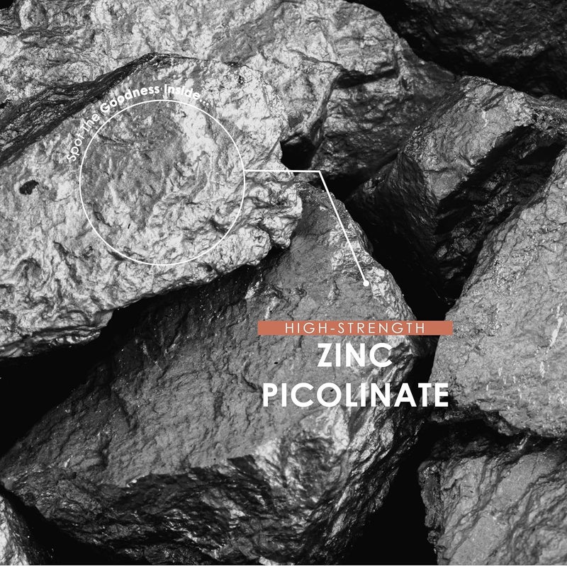 ALPHA01 زنك بيكولينات 100 ملغ دعم المناعة زنك بيكولينات 90 كبسولة نباتية إمداد لمدة 3 أشهر كيس قابل لإعادة الإغلاق وإعادة التدوير من ألفا01 - Image 4