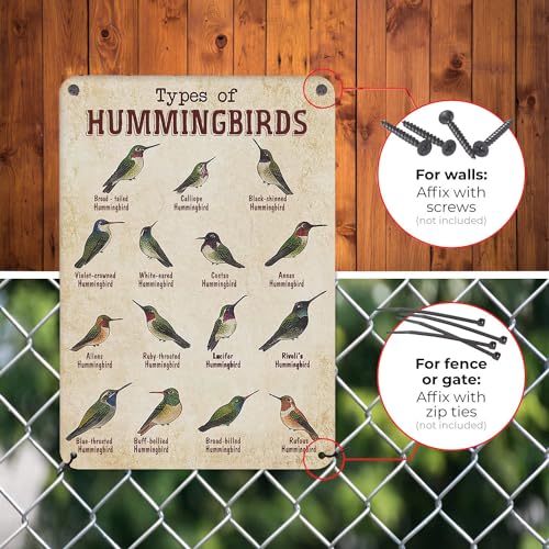 HYBLOM Vintage Hummingbird Guide Metal Sign - Types of Hummingbirds Tin Poster - Educational Bird Identification Wall Art, Office, Classroom, and Home Decor 8x12 Inches - Image 4