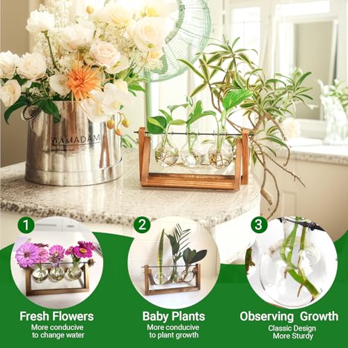 IVOLADOR I Ivolador Plant Propagation Station,Bulb Plant Terrarium with Wooden Stand,Unique Gardening Gifts for Women Plant Lovers,Hydroponic Indoor Planter Home Office Garden Wedding Decor-3 Bulb Glass Vases - Image 2
