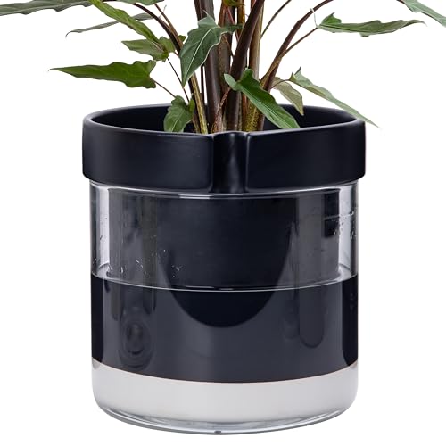 Phoenix Vine 8 Inch Self Watering Terracotta Planter, Black Terracotta Clay Pot with Glass Reservoir for Indoor Plants, Herbs, Flowers, Set of 1, 52-C-H-1 - Image 1