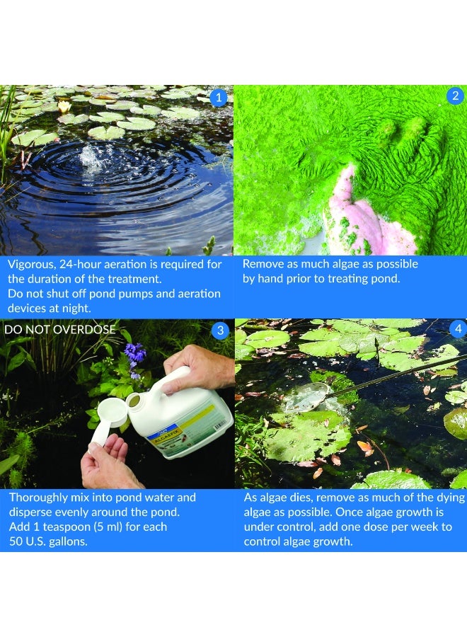 API Pond AlgaeFix 64 oz – Safe & Effective Algae Treatment for Ponds - Image 2