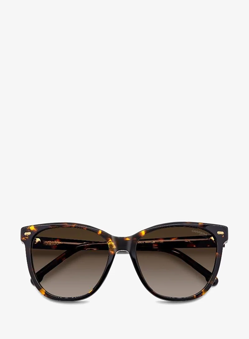 Carrera  Wayfarers Sunglasses for Women | Best Price UAE