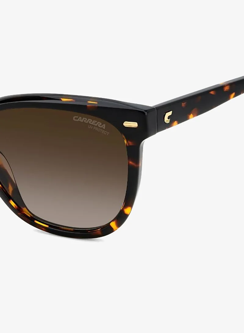 Carrera  Wayfarers Sunglasses for Women | Best Price UAE