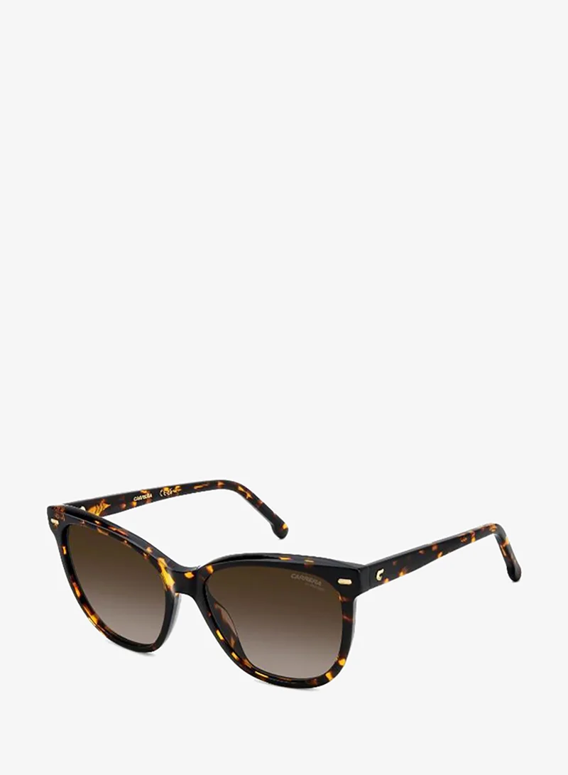 Carrera  Wayfarers Sunglasses for Women | Best Price UAE