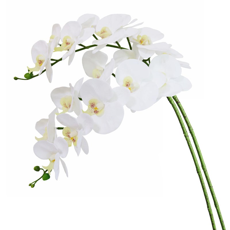 Htmeing 38 Inch Artificial Phalaenopsis Flowers Branches Real Touch Not Silk Orchids Flowers for Home Office Wedding DecorationPack of 2 White