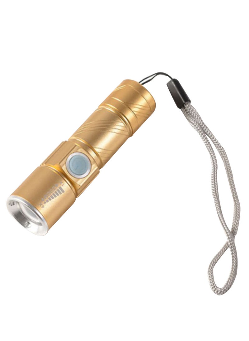 NIBEMINENT Mini LED Flashlight Gold/Grey 8centimeter 