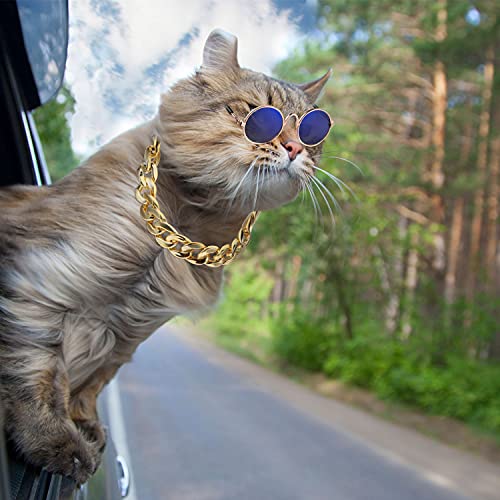 Weewooday 7 Pcs Dog Sunglasses Cats Sunglasses with 2 Gold Chain Retro Round Metal Glasses Funny Cute Cosplay Costume for Small Pet(Fresh Colors,Delicate Style) - Image 5