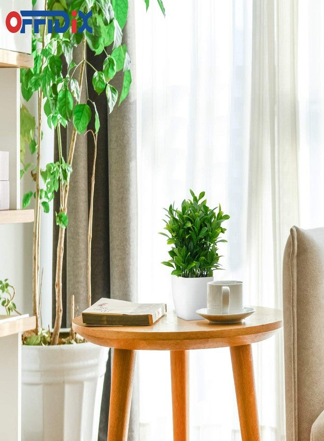 OFFIDIX Artificial Eucalyptus Plants with White Square Vase Small Artificial Tree for Office Desktop Decor Fake Plants for Home and Office Indoor Decorations - Image 4