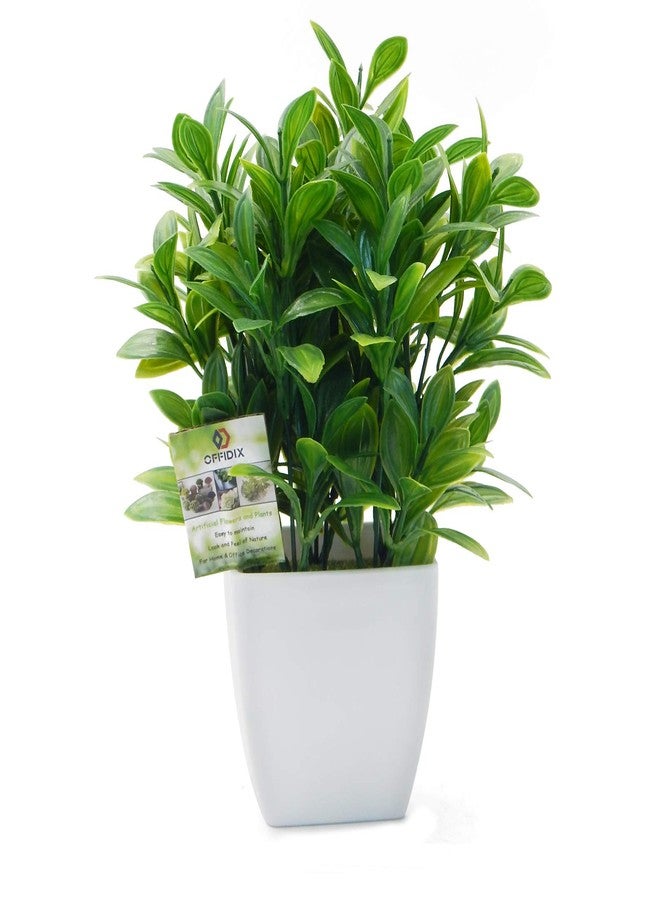 OFFIDIX Artificial Eucalyptus Plants with White Square Vase Small Artificial Tree for Office Desktop Decor Fake Plants for Home and Office Indoor Decorations - Image 1