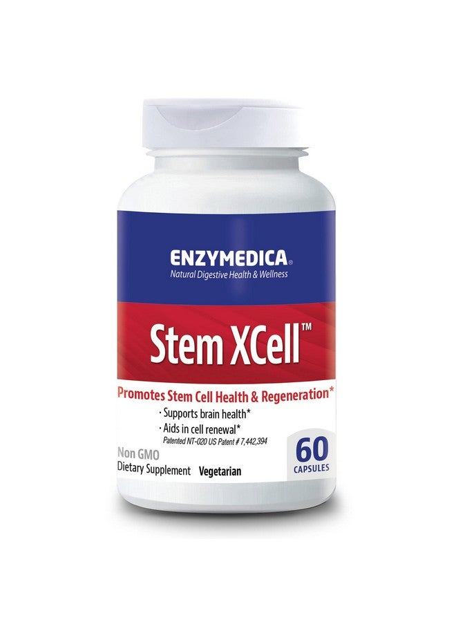 ENZYMEDICA دعم إنزيم ستيم إكسل ومضادات الأكسدة لصحة الدماغ والخلايا 60 كبسولة - Image 2