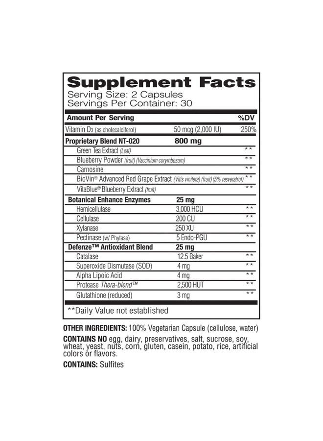 ENZYMEDICA دعم إنزيم ستيم إكسل ومضادات الأكسدة لصحة الدماغ والخلايا 60 كبسولة - Image 3