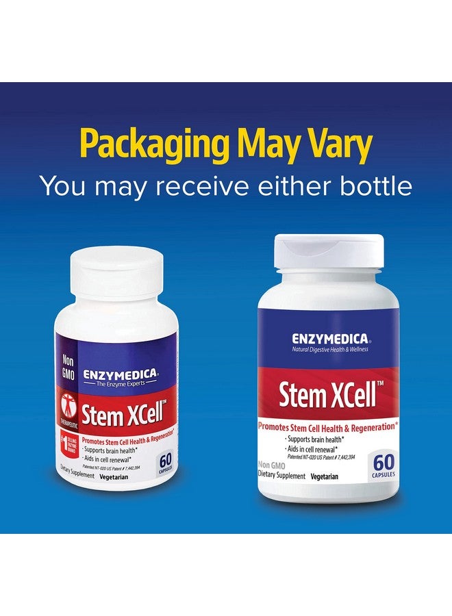 ENZYMEDICA دعم إنزيم ستيم إكسل ومضادات الأكسدة لصحة الدماغ والخلايا 60 كبسولة - Image 4