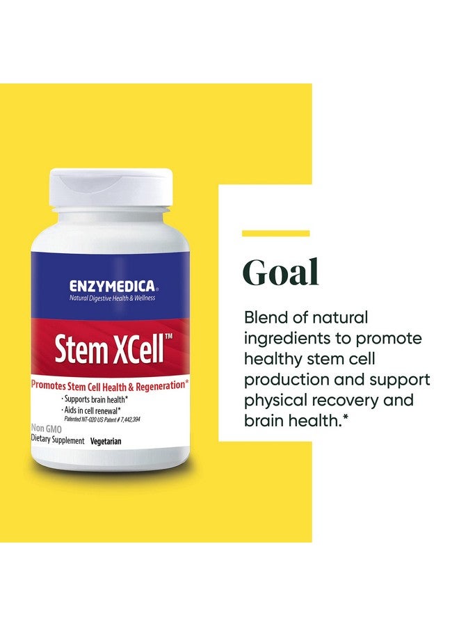 ENZYMEDICA دعم إنزيم ستيم إكسل ومضادات الأكسدة لصحة الدماغ والخلايا 60 كبسولة - Image 5