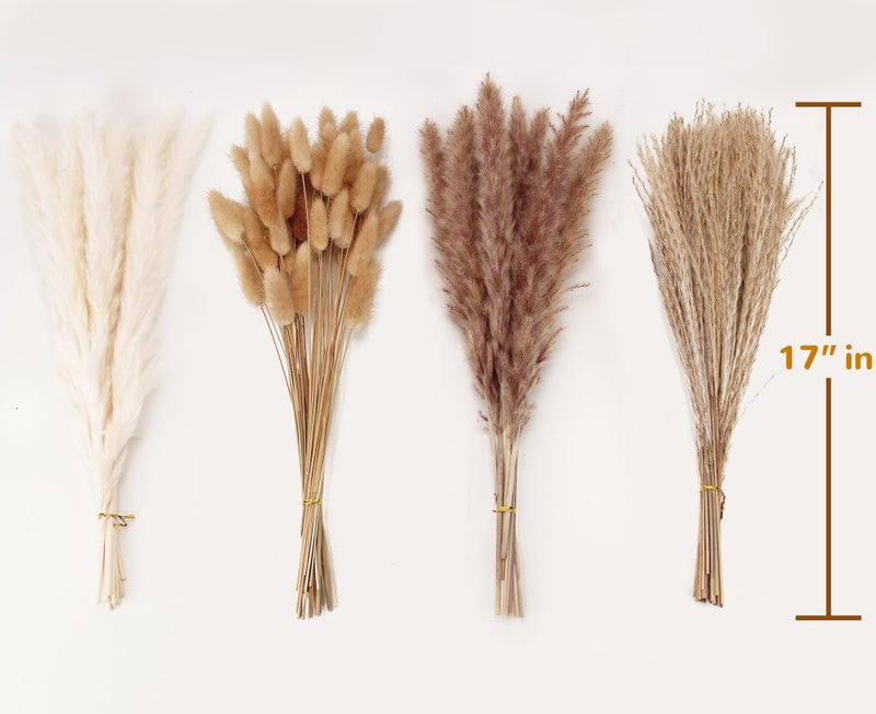 ANPROOR Dried Pampas Grass Decor, 100 Stems Pampas Grass Contains Bunny Tails Dried Flowers, Reed Grass Bouquet for Wedding Boho Flowers Home Table Decor, Rustic Farmhouse Party (17", White and Brown) - Image 2