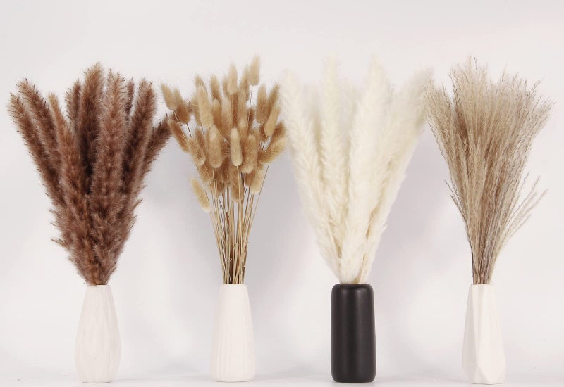 ANPROOR Dried Pampas Grass Decor, 100 Stems Pampas Grass Contains Bunny Tails Dried Flowers, Reed Grass Bouquet for Wedding Boho Flowers Home Table Decor, Rustic Farmhouse Party (17", White and Brown) - Image 3