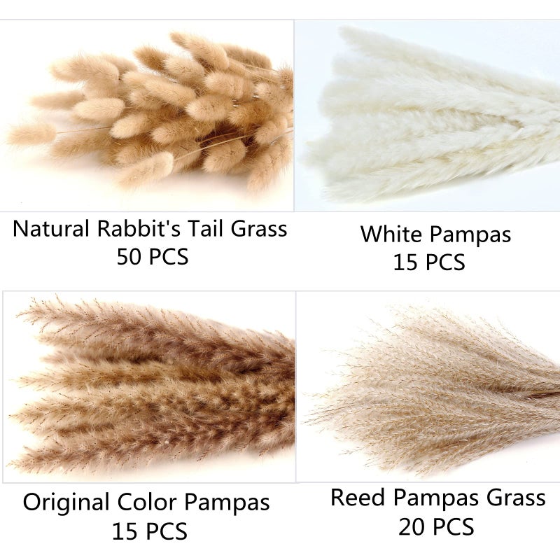 ANPROOR Dried Pampas Grass Decor, 100 Stems Pampas Grass Contains Bunny Tails Dried Flowers, Reed Grass Bouquet for Wedding Boho Flowers Home Table Decor, Rustic Farmhouse Party (17", White and Brown) - Image 4