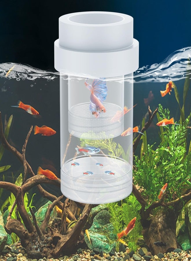 باوفلي صندوق تربية ذبابة الماء لحوض السمك، صندوق تربية أسماك الزينة، صندوق تربية أسماك الجوبي العائم، فاصل صغار الأسماك لحوض السمك، صندوق عزل فقاسة بلاستيكي للروبيان، سمكة بيتا، سمكة المهرج، متوسط الحجم - Image 1