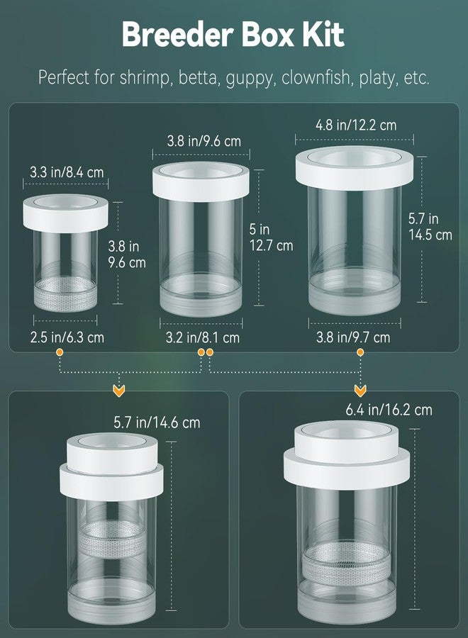 باوفلي صندوق تربية ذبابة الماء لحوض السمك، صندوق تربية أسماك الزينة، صندوق تربية أسماك الجوبي العائم، فاصل صغار الأسماك لحوض السمك، صندوق عزل فقاسة بلاستيكي للروبيان، سمكة بيتا، سمكة المهرج، متوسط الحجم - Image 2