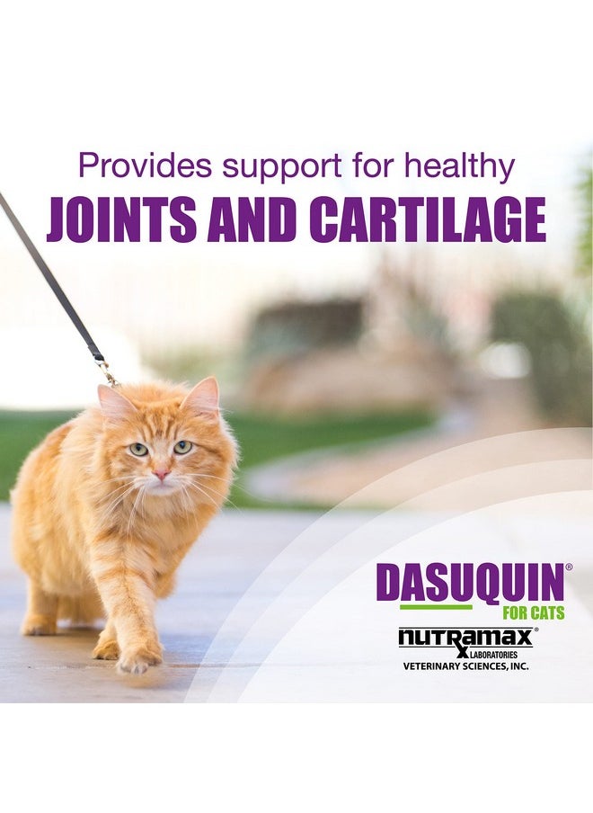 Nutramax Laboratories Nutramax Laboratories Dasuquin Joint Health Supplement for Cats - With Glucosamine, Chondroitin, ASU, Boswellia Serrata Extract, and Green Tea Extract, 84 Capsules  - Image 2