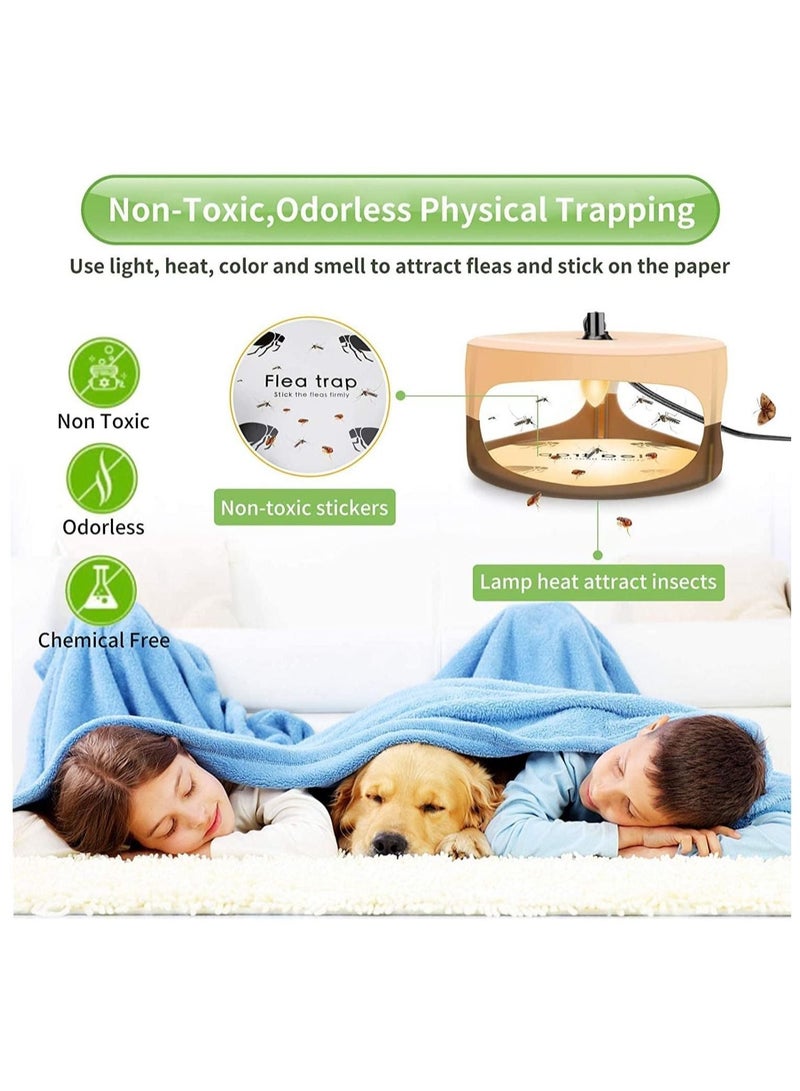 Sticky Dome Indoor Flea Traps, Comes with Sticky Pads and Refills, Safe for Children and Pets - Image 3