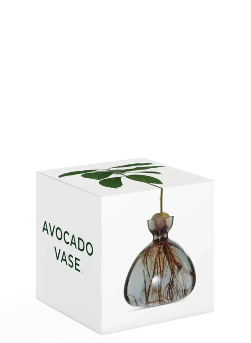 آيليكس ستوديو مزهرية أفوكادو باللون الرمادي المدخن