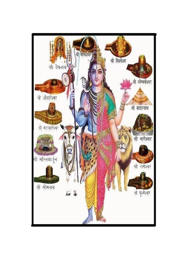 TheGalaxy 12 Mukhi Rudraksha أصلي معتمد نيبالي مع قلادة مغطية 12 Mukhi Twelve Face نيبالي Rudra Blessings 12 وجه نيبال Rudraksha أصلي معتمد Lord Surya 12 मुकी रुप्राक्ष ओरिगनल - Image 5