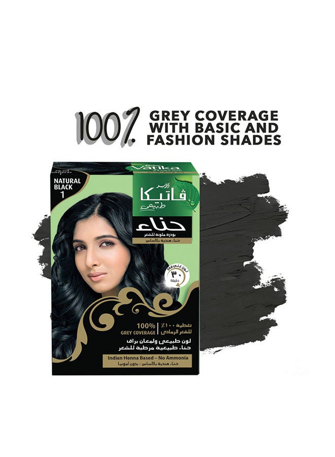 Dabur صبغة شعر حناء فاتيكا لصبغ الشعر 6 × 10 جرام | أسود طبيعي | تغطية 100% للشعر الرمادي | مستندة إلى الحناء الهندية | بدون أمونيا - Image 1