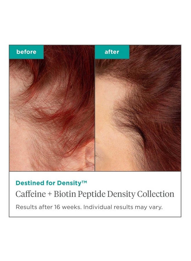 بريوجيو مجموعة شامبو وبلسم Briogeo Destined For Density بالكافيين + ببتيد البيوتين، يزيد من كثافة الشعر وكثافته للشعر الخفيف أو الخفيف، نباتي، خالٍ من القسوة، 2 × 8 أونصة سائلة - Image 2