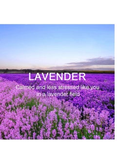KASTWAVE Lavender Hanging Sachet Closet Deodorizer 1 Pack 12 Pcs Scent Sachet Drawer Freshener Closet Air Freshener Scented Deodorizer Freshener for Home Car Long Lasting Scented Sachets Smell Goods  - Image 2