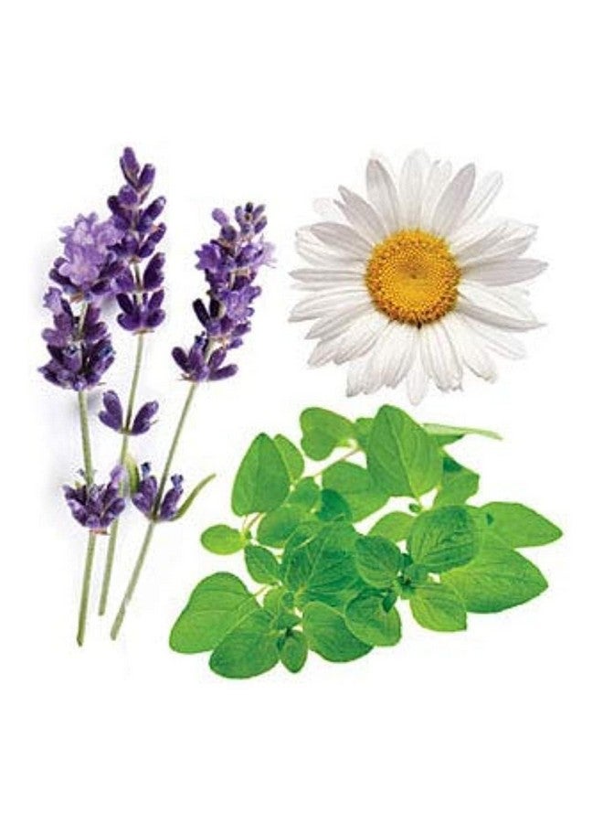DoTerra doTERRA Serenity Essential Oil Restful Blend - 15 ml - Image 1