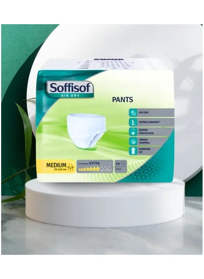 SOFFISOF Medical Panty Diapers Size M  - Image 1